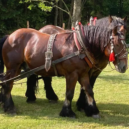 Brama Gór * Gorki Male (Silesia)