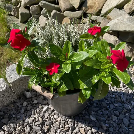 Brama Gor Gorki Male (Silesia)