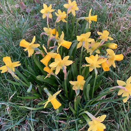 Brama Gor * Gorki Male (Silesia)