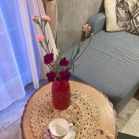 Brama Gor Holiday home Gorki Male (Silesia)
