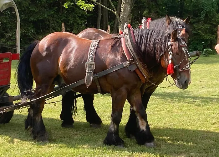 Brama Gor * Gorki Male (Silesia)