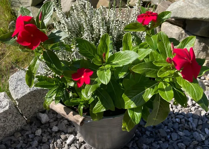 Brama Gor Gorki Male (Silesia)