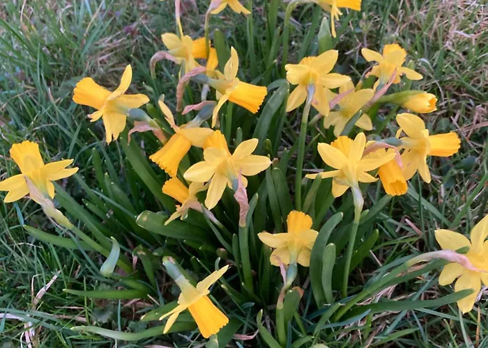 Brama Gor * Gorki Male (Silesia)